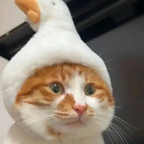 视频播放量服务图标